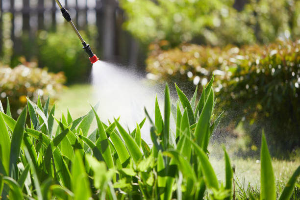 24/7 Emergency Wasp Removal experts in Salmon Creek, WA